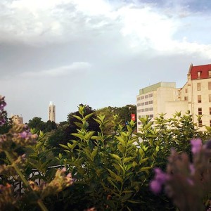 University of Kansas (KU)