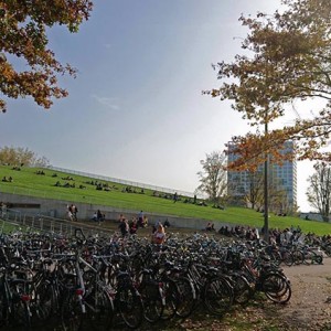Delft University of Technology (Делфтский технический университет)