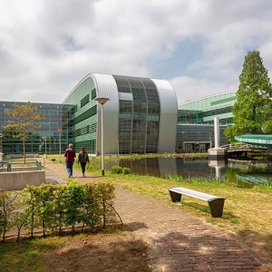 Radboud University Nijmegen (Университет Неймегена)