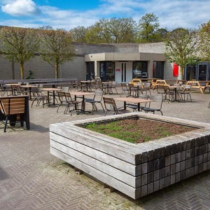 Radboud University Nijmegen (Университет Неймегена)