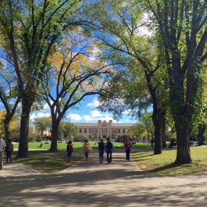University of Saskatchewan (Университет Саскачевана)