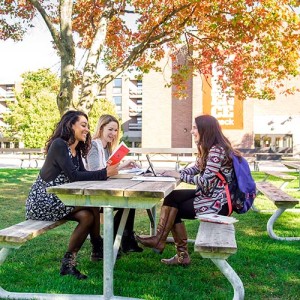 Университет Брока (Brock University)