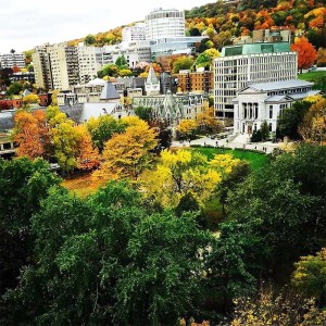 McGill University (Университет Макгилла)