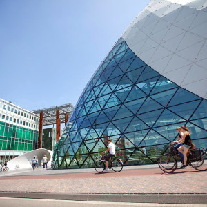 Eindhoven University of Technology (Технический университет Эйндховена)