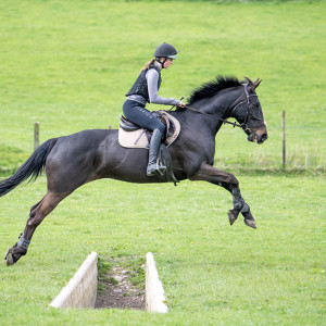 Sedbergh School