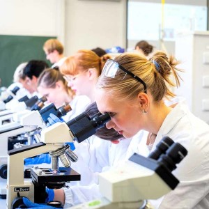 University of Chemistry and Technology in Prague