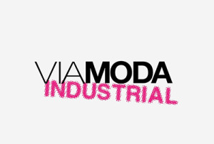 Университет дизайна, технологий и менеджмента "VIAMODA INDUSTRIAL" Университет дизайна, технологий и менеджмента "VIAMODA INDUSTRIAL"